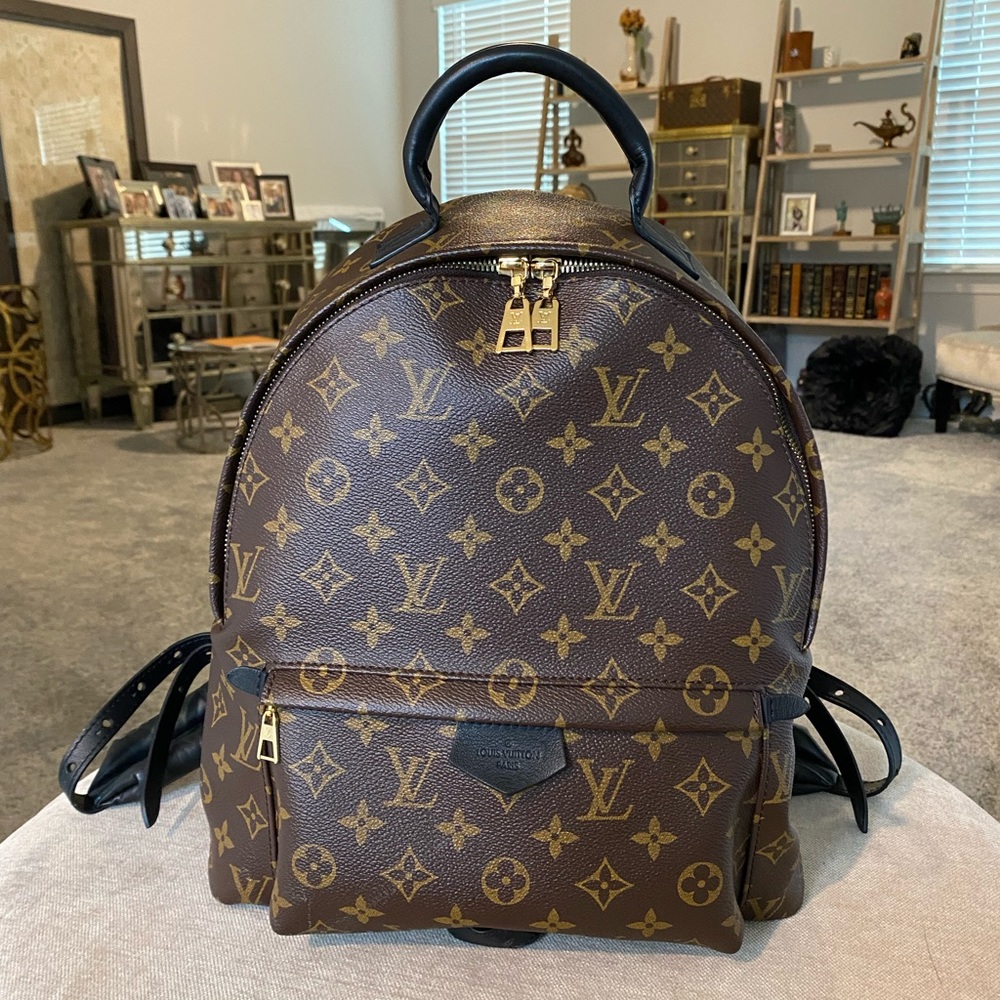 Louis Vuitton Palm Springs MM Backpack